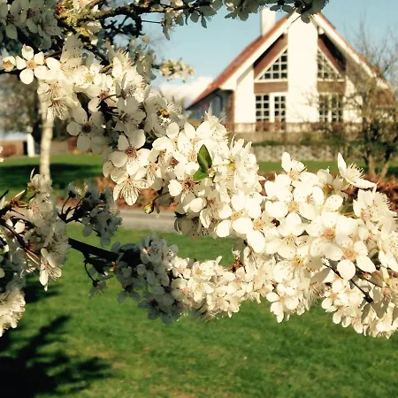 Frühstückspension Margretelyst
